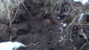 Металлокоп мини экскаватором