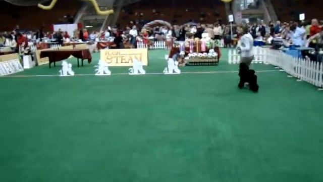 Изображение 172.mpg