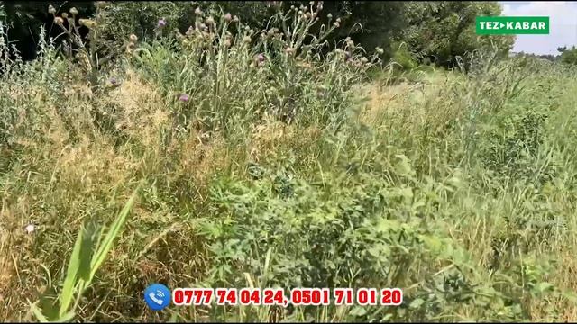 КУЛПУНАЙ манен МАЛИНА эгилген 1 гектар ЖЕР сатылат ~ Су смотреть онлайн