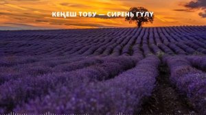 КЕҢЕШ тобу — Сирень гүлү (текст)