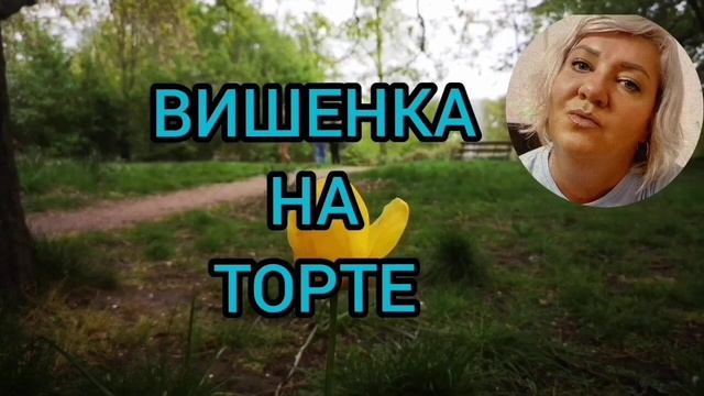 СЛЯМЗИЛИ СЦЕНАРИЙ У ЮЛИ СТАР. ANYANASTYA LIFE. ОБЗОР.