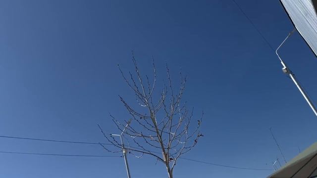 Самый большой авторынок Грузии – что можно купить в Р?