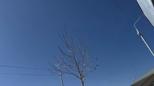 Самый большой авторынок Грузии – что можно купить в Р?