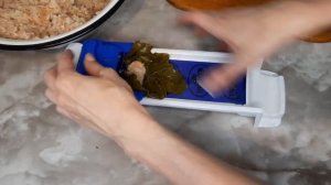 Долма из консервированных виноградных листьев