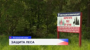 В лесах Нижегородской области стартовали мероприятия по противопожарной подготовке