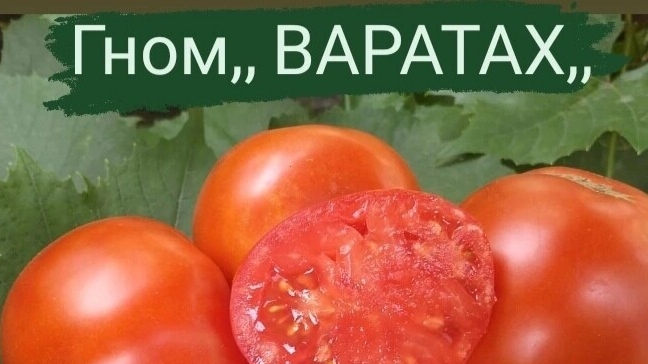 Рассада толстая в тесном ящике.Шикарная