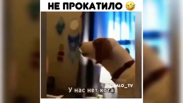 Нарезки смешных видео #3 / Смешные видео / Смешные нарезки / Смешные ситуации / Очень смешно смотреть онлайн