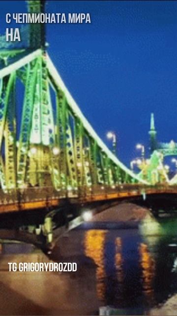 5 ЗОЛОТЫХ МЕДАЛЕЙ НА ЧЕМПИОНАТЕ МИРА ПО ПЛАВАНЬЮ #спорт #плавание #золото #чемпионат #Дрозд #shorts