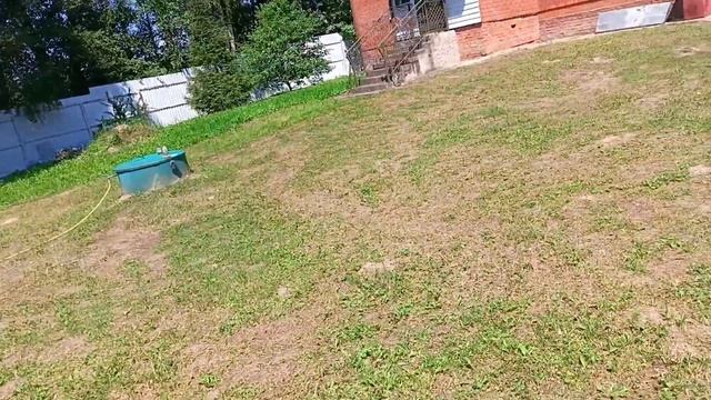 Дрозды напали на красную смородину. Первые огурцы. Оче смотреть онлайн