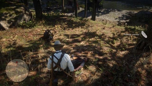 Red Dead Redemption 2 - Глава 4 . Часть 28 . Благороднейшие мужи и женщины-4