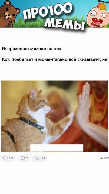 #мемы2022 #мемы #мем #приколы #коты #котики #коти #мемыпро100 #мемыдня #смешныекоты #про100мемы