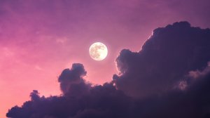 Как орехи отлетают злодеи