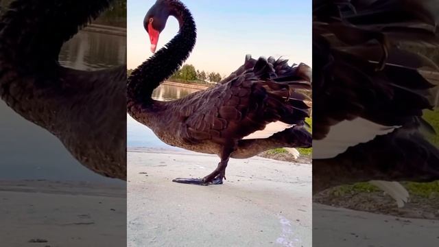 Blitz - Письмо ( за тучами всегда рассвет) смотреть онлайн