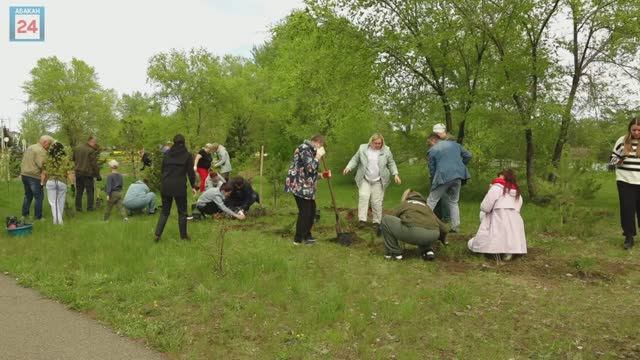Абаканская "Баранка" украсилась гортензиями и можжевельником