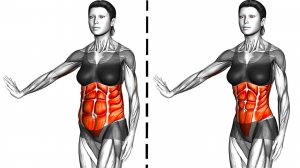 Получите тонкую Талию и плоский Животик