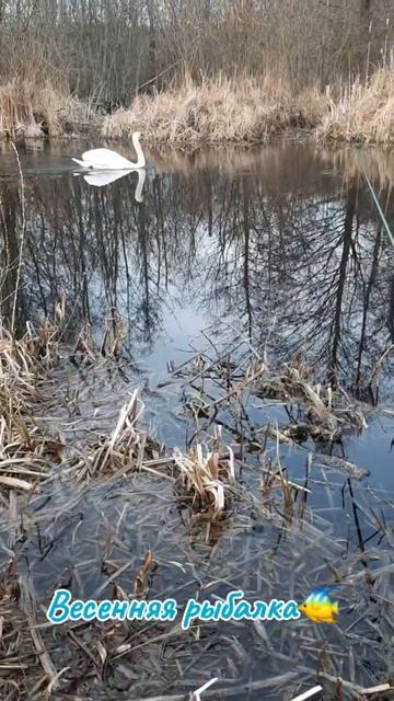 Рыбалка. Речка. Апрель🐠🐠🐠 смотреть онлайн