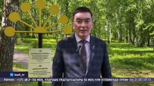 Шоу "Салям". Сюжет курай 2025