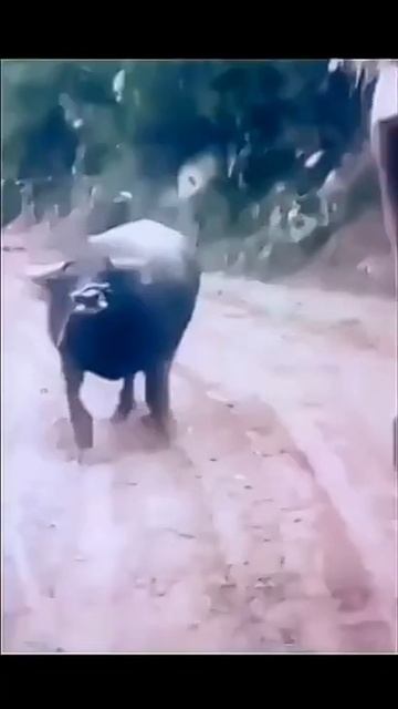 И тут в бассейне 😝😂 смотреть онлайн