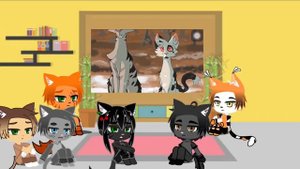 Реакция котов воителей на meme и MAPы 2/?? (Читать описание.)