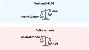 ADE и Ковид-дельта. Новые данные