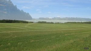 Поле Русское поле