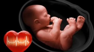 6668953122-358493416