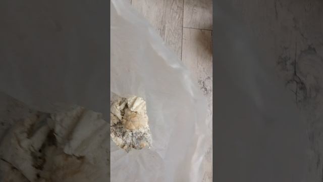 КАК ВЫРАЩИВАТЬ ЕЖОВИК, ГРИЦИЙ смотреть онлайн