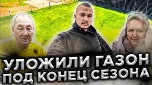 Уложили газон под конец сезона