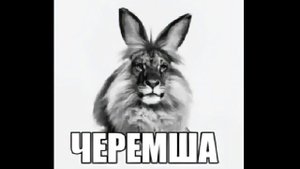 ЧЕРЕМША - мем, оригинал