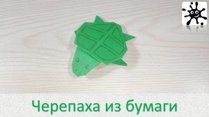 Черепаха из бумаги. Оригами черепаха