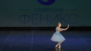 Вариация реки Нева