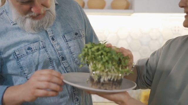 Как Вырастить Микрозелень в Домашних Условиях 🌱