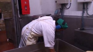 Машина для снятия копыт Mecanova D-100 арт. 25-4338-00