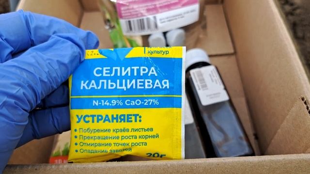 КАЛЬЦИЙ по листу 25.05.24 в теплице