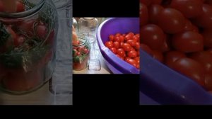 Помидоры с  морковной ботвой/Рецепт вкусных помидор.