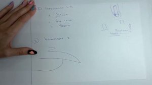 Materialy.mastera Формы клюющего ногтя