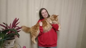 Да красавец, красавец я! Сфоткали? Все тогда, спускай меня мама вниз маауу