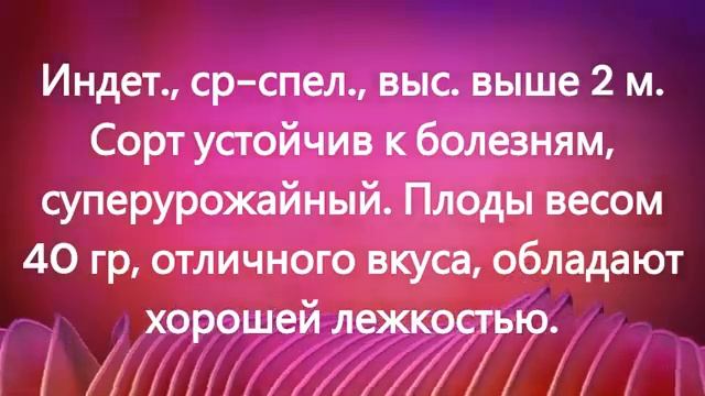 Эти томаты отлично подходят для консервирования. г. К смотреть онлайн