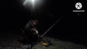 Часть 1.Криушинский залив,рыбалка на донку,с ночевкой