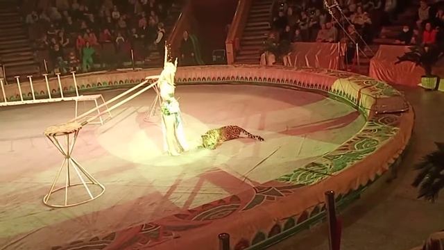 Цирк Джанго