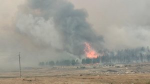 Очевидцы показали кадры лесного пожара вплотную у трассы "Байкал"