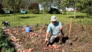 Наша повседневная жизнь