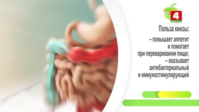 Будем здоровы! Кинза смотреть онлайн