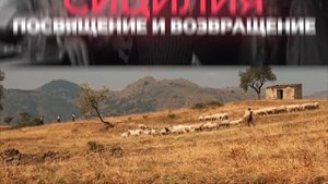 Анализ пути и психологического портрета Крестного отца