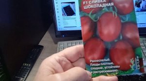 27.2.25г.  Помидоры сорта  СЛИВКА ШОКОЛАДНАЯ сею на Рассад