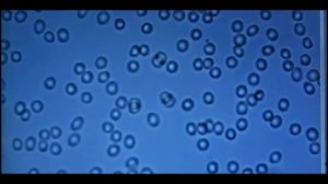 Заземление Фильм о заземлении человека #заземление #з?