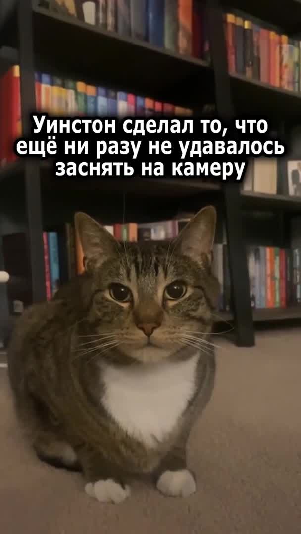 Подпишись 👉 https://vk.com/ykrasheniy_iz_kamny