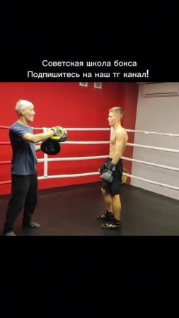 Отработка быстрых и ритмичных ударов по лапам.