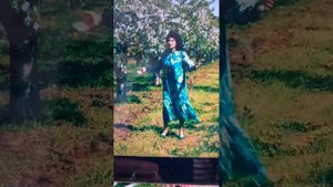 Песня. Анжелика Вишня. Благослови Господь моих детей.