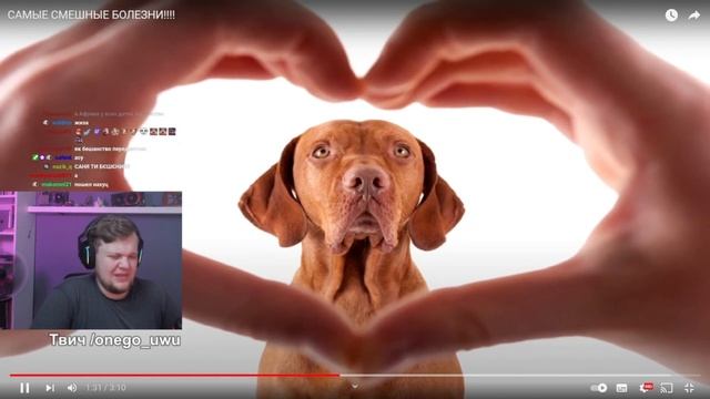 ВАНГОУ СМОТРИТ:САМЫЕ СМЕШНЫЕ БОЛЕЗНИ!!!! смотреть онлайн